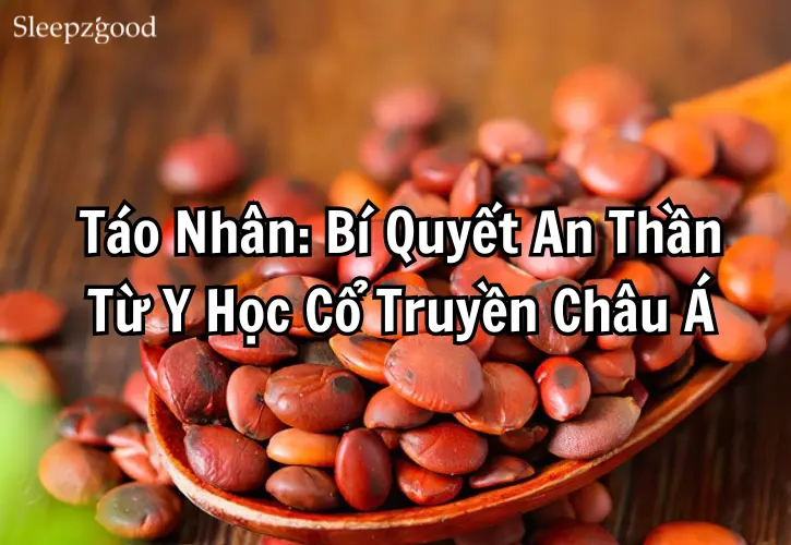 Táo Nhân Bí Quyết An Thần Từ Y Học Cổ Truyền Châu Á